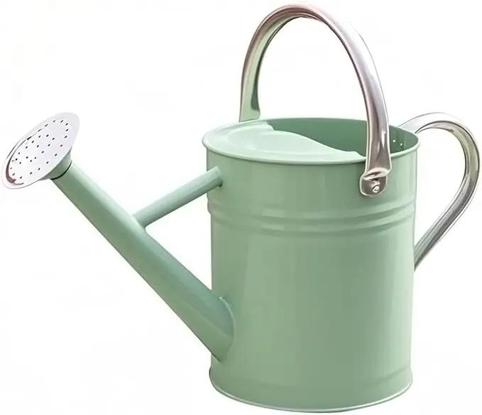 Metal Watering Can, One Gallon Watering Cans Stainless Steel for Outdoor Indoor Garden Plants Watering (Cream Green) by GreenHaven Gardens