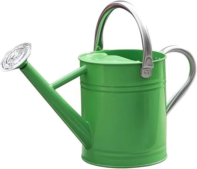 Metal Watering Can, One Gallon Watering Cans Stainless Steel for Outdoor Indoor Garden Plants Watering (Stainless Steel Handle Green) by GreenHaven Gardens