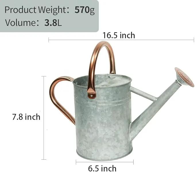 Metal Watering Can, One Gallon Watering Cans Stainless Steel for Outdoor Indoor Garden Plants Watering (Zinc 1 Gallon) by GreenHaven Gardens