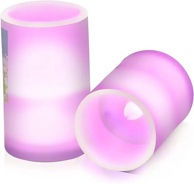 Vdsrup Flameless Candles Set of 2 Memorial Pet LED Candles with Timer Battery Operated Customize Candle Lights Flickering with Remote for Home Bedroom Decor by GreenHaven Gardens