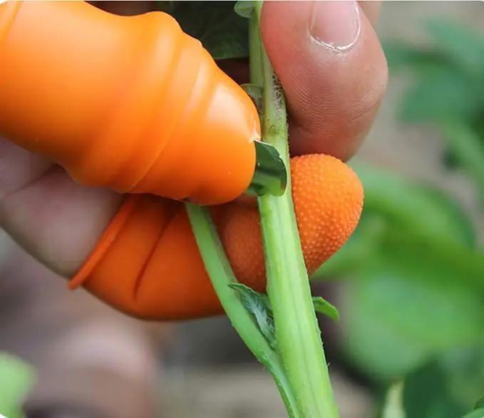Fruit and Vegetable Picking Potted Plants Trim Silicone Thumb Knife Set Picking Portable Knife Garden Tools (1) by GreenHaven Gardens