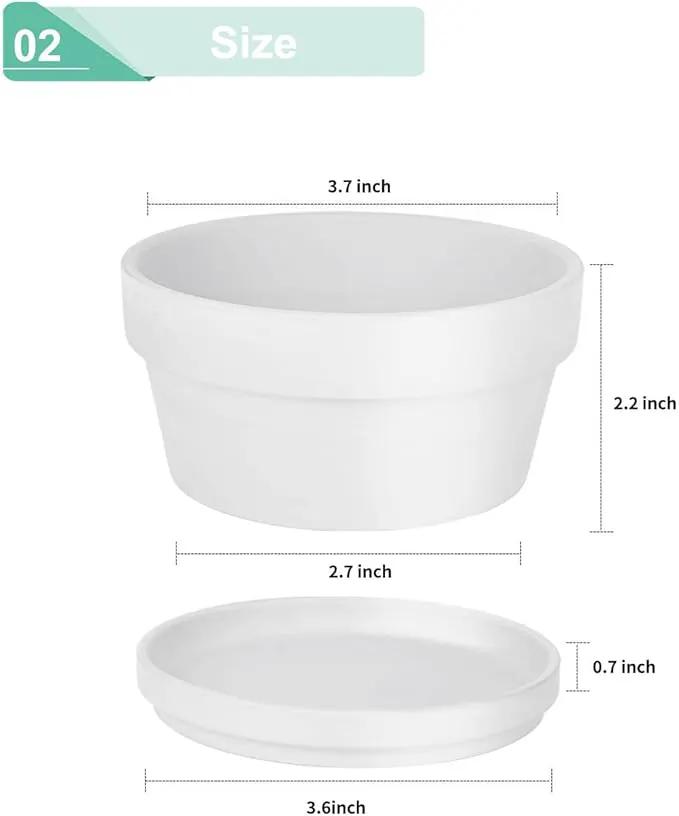 vensovo 3.7 Inch White Terracotta Shallow Succulent Pots - 6 Pack Terra Cotta Clay Pot with Saucer, Cacuts Indoor and Outdoor Planters with Drainage Hole by GreenHaven Gardens