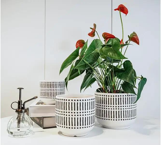 Docrin Plant Pots Ceramic: 6.5+5.3+4 Inch Flower Pots with Drainage Holes for Home/Office - Set of 3/White and Black by GreenHaven Gardens