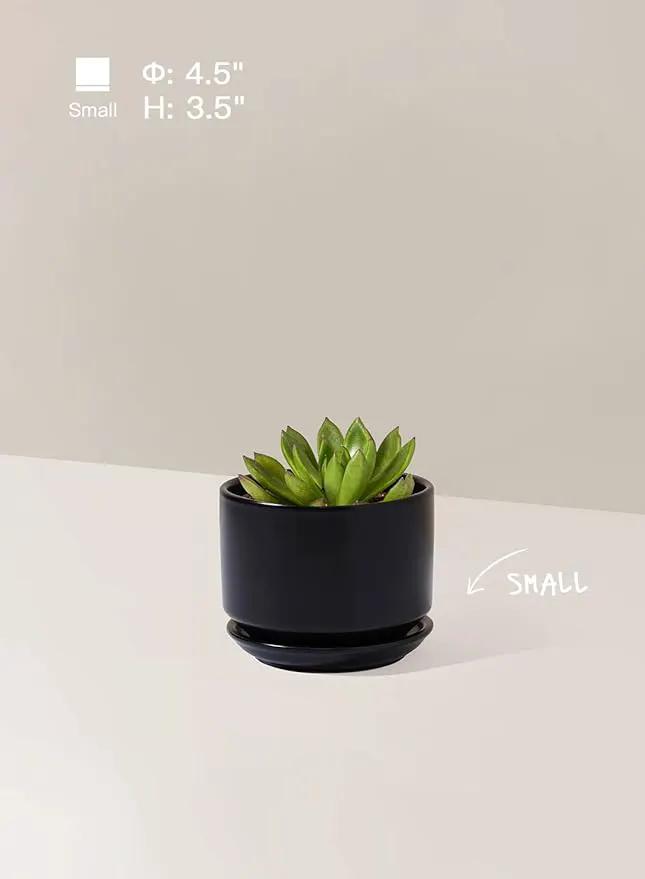 LE TAUCI Ceramic Plant Pots, 4.3+5.3+6.8 inch, Set of 3, Planters with Drainage Hole and Saucer, Indoor Flower Pot with Hole Mesh Pad, Gifts for Mom, Black by GreenHaven Gardens