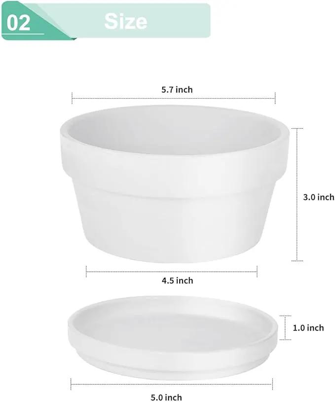 vensovo 5.7 Inch White Terracotta Shallow Succulent Pots - 6 Pack Terra Cotta Clay Pot with Saucer, Cacuts Indoor and Outdoor Planters with Drainage Hole by GreenHaven Gardens