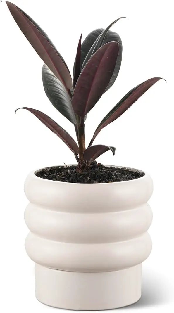 Bubble Ceramic Plant Pots with Drainage Holes and Saucers,6 inch Medium Flower Pots Modern Decor Planter for Indoor Plants(White) by GreenHaven Gardens