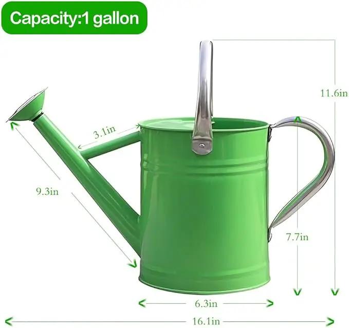 Metal Watering Can, One Gallon Watering Cans Stainless Steel for Outdoor Indoor Garden Plants Watering (Stainless Steel Handle Green) by GreenHaven Gardens