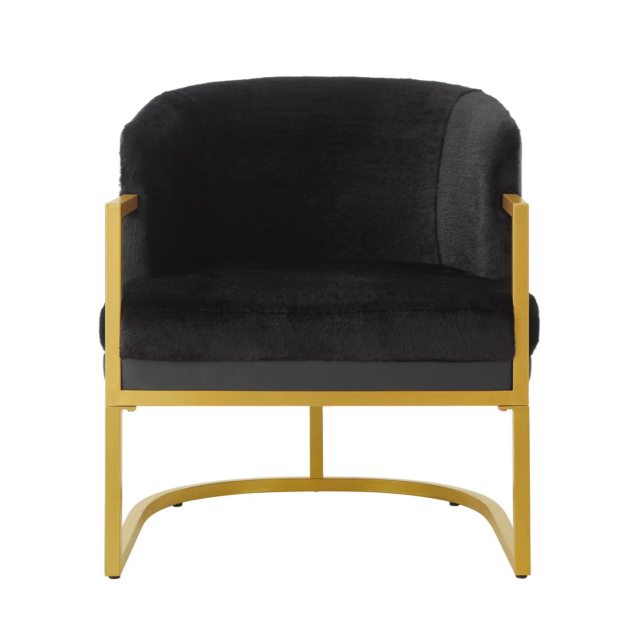 Upholstered Reading Accent Armchair For Living Room by HouseOfZazla