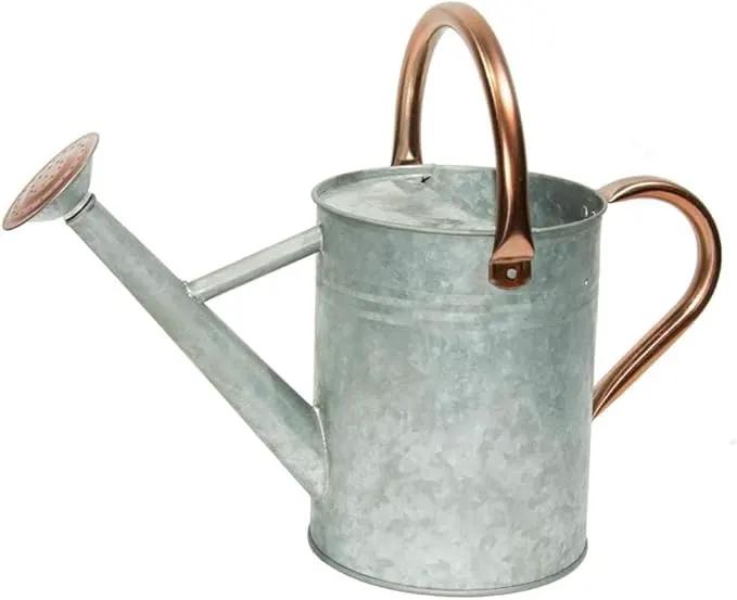 Metal Watering Can, One Gallon Watering Cans Stainless Steel for Outdoor Indoor Garden Plants Watering (Zinc 1 Gallon) by GreenHaven Gardens