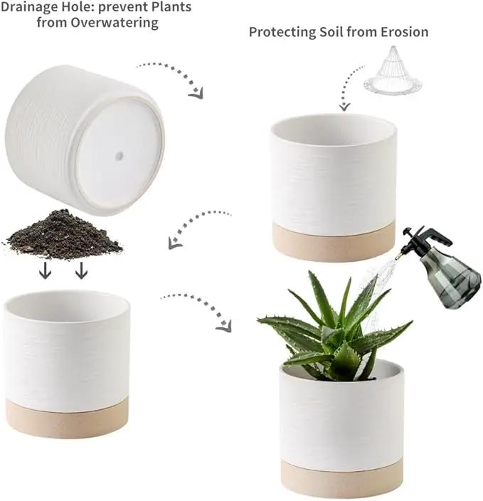 Nihow Ceramic Plant Pot: 6 Inch Planter with Drainage Hole & Saucer for Indoor & Outdoor Plants - Cylinder Round Flower Pot for Succulent/Herbs/Violets - White & Brown by GreenHaven Gardens