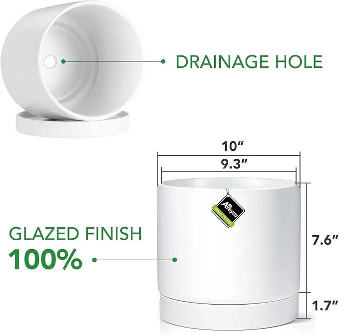 Aveyas 10 inch Ceramic Plant Pot with Drainage Hole and Saucer - Suitable for Indoor and Outdoor Use, Modern Planters for House Garden Flower Tree Snake Monstera Plants (10", Matte White) by GreenHaven Gardens