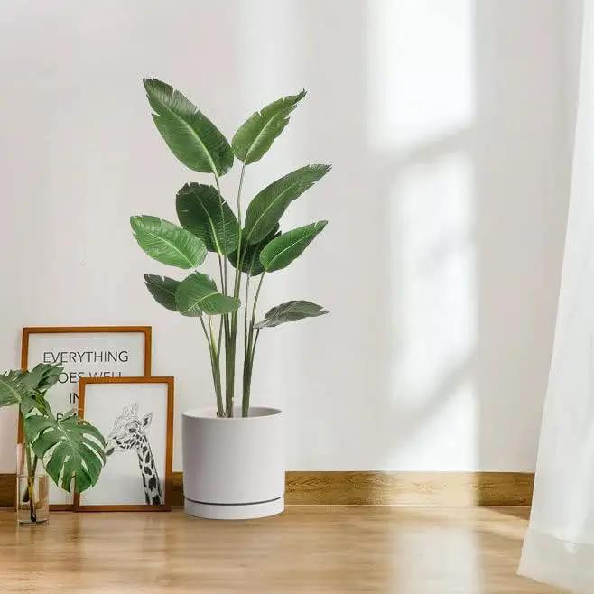 Aveyas 10 inch Ceramic Plant Pot with Drainage Hole and Saucer - Suitable for Indoor and Outdoor Use, Modern Planters for House Garden Flower Tree Snake Monstera Plants (10", Matte White) by GreenHaven Gardens