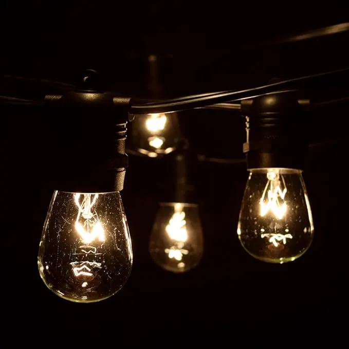Hometown Evolution, Inc. 100 Foot Commercial Grade Outdoor String Lights (100 Foot 50 Socket, S14 11 Watt Clear Light Bulbs) by GreenHaven Gardens