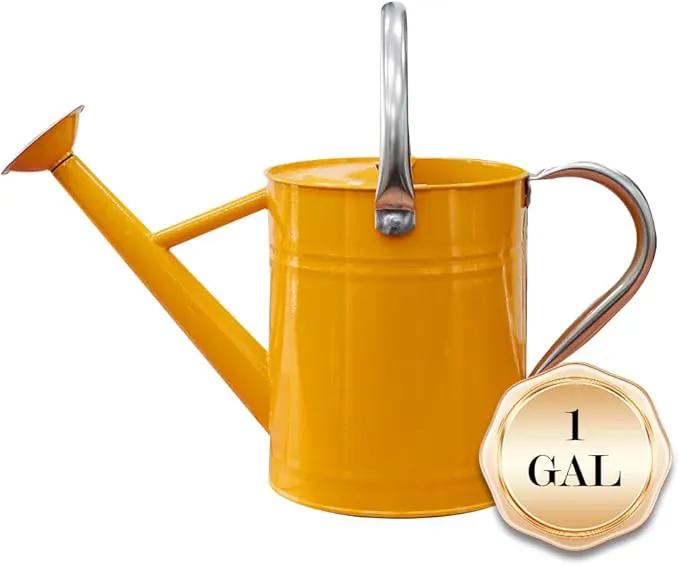 Metal Watering Can, One Gallon Watering Cans Stainless Steel for Outdoor Indoor Garden Plants Watering (Yellow) by GreenHaven Gardens