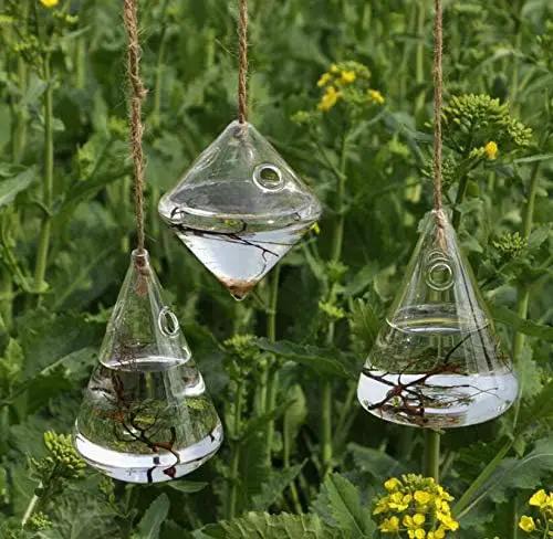 Glass Hanging Planters Indoor Outdoor Plant Pots Water Plant Containers Flower Pots Glass Terrariums Wall Vases 3 Pieces by GreenHaven Gardens