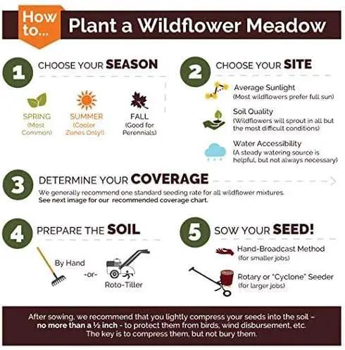 Dirt Goddess Super Seed~ Nasturtium, Tall Trailing Mix Seed~ Tropaeolum majus (10 Lbs) by GreenHaven Gardens