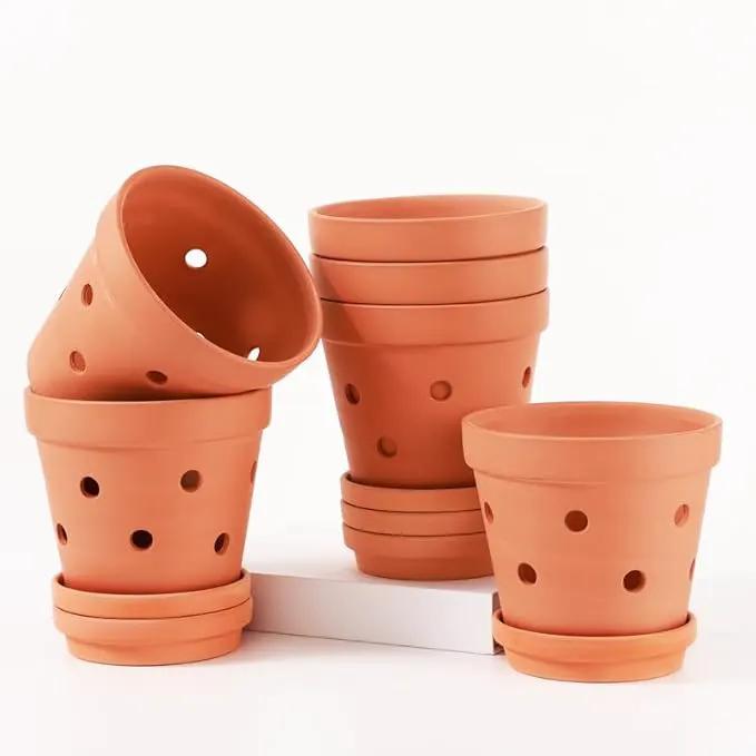 Fcacti 6 Inch Terracotta Orchid Pots with Drainage Holes and Saucers - 6 Pack Small Clay Orchid Planter Pots for Repotting, Plant Flower Pots for Orchid Indoor/Outdoor Promotes Air Circulation by GreenHaven Gardens