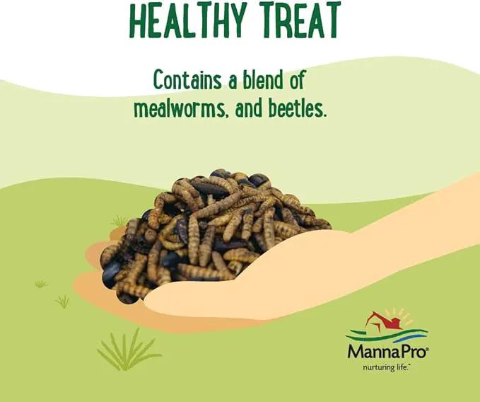 Manna Pro Farmhouse Favorites Beetle Bliss Poultry Treat – Blend of Mealworms and Beetles – All Natural Treat for Chickens, Ducks, Geese, Turkeys, & Guinea Fowl – 45% Protein – 25oz by GreenHaven Gardens