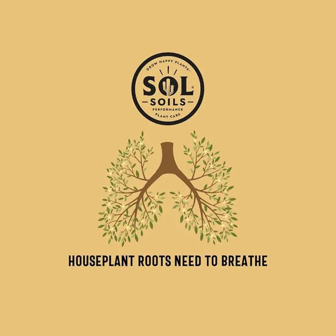 Sol Soils Chunky Houseplant Mix - Fast Draining Soil for Indoor Plants with Coco Coir Chips, Perlite, & Pumice, 1 Gallon by GreenHaven Gardens