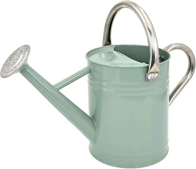 Metal Watering Can for Outdoor Plants, Galvanized Steel Watering Can with Removable spout, 1 Gallon,Perfect Home & Garden Décor Cream Green by GreenHaven Gardens