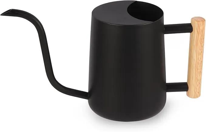 Plant Watering Can,35oz Metal Watering Can,Stainless Steel Watering Can Indoor Plants with Long Curved Spout,Small Watering Can for Indoor Plants,Bonsai Outdoor Garden Modern Decorative(Black) by GreenHaven Gardens