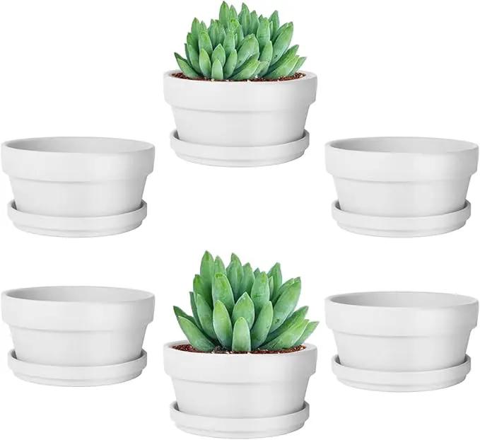 vensovo 4.5 Inch White Terracotta Shallow Succulent Pots - 6 Pack Terra Cotta Clay Pot with Saucer, Cacuts Indoor and Outdoor Planters with Drainage Hole by GreenHaven Gardens