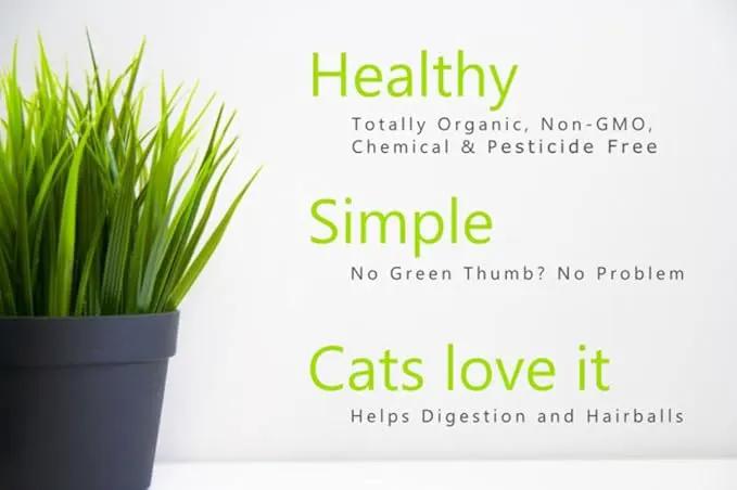 Simple Cat Grass Blend, 100% US Organic, 4 Popular Seeds: Wheat, Barley, Oats, and Rye Mix Combo, Show Your Love with a Healthy Pet Snack Treat (4 Ounce (~3200 Seeds)) by GreenHaven Gardens