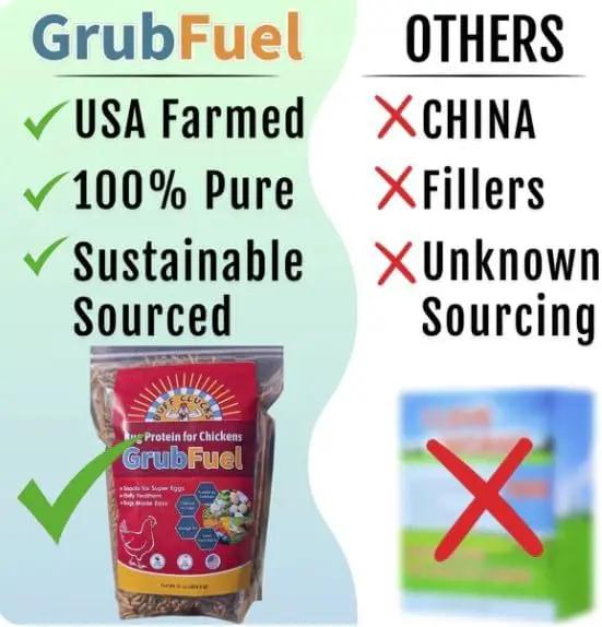 Grub Fuel Black Soldier Fly Larvae for Chickens - Nutrient Packed BSFL, Sustainably Sourced Snack for Poultry, Rich in Protein, Calcium, Fiber, Essential Fatty Acids, USA Grown (5LB) by GreenHaven Gardens
