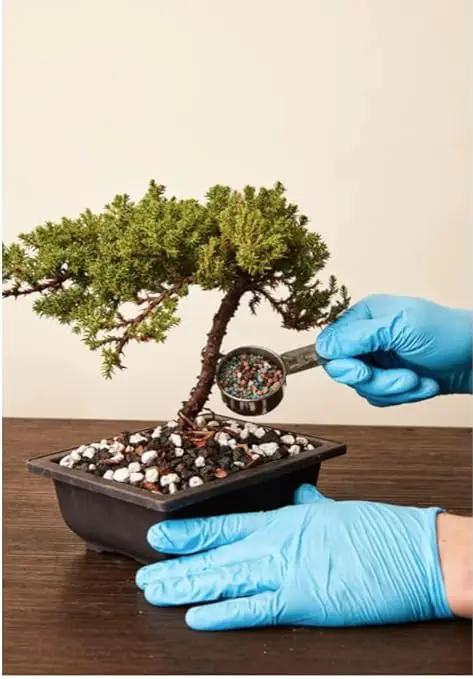 Bonsai All-Purpose Fertilizer by The Bonsai Supply – 2Lbs | Quick Results | Micro Nutrients for Vital Bonsai Health by GreenHaven Gardens