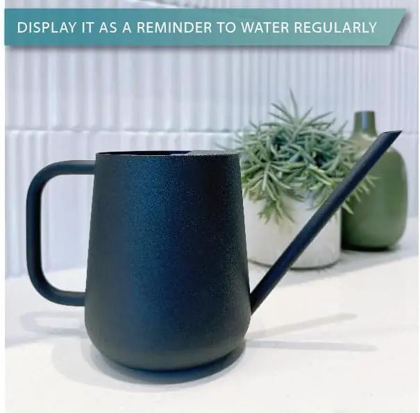 Metal Watering Can for Indoor Houseplants Outdoor Garden Long Sprout Water Can for Succulents Herb Bonsai Modern Garden Tool 33.8oz/1000ml (Dashing Black) by GreenHaven Gardens