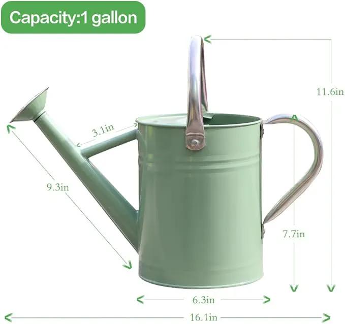 Metal Watering Can, One Gallon Watering Cans Stainless Steel for Outdoor Indoor Garden Plants Watering (Cream Green) by GreenHaven Gardens
