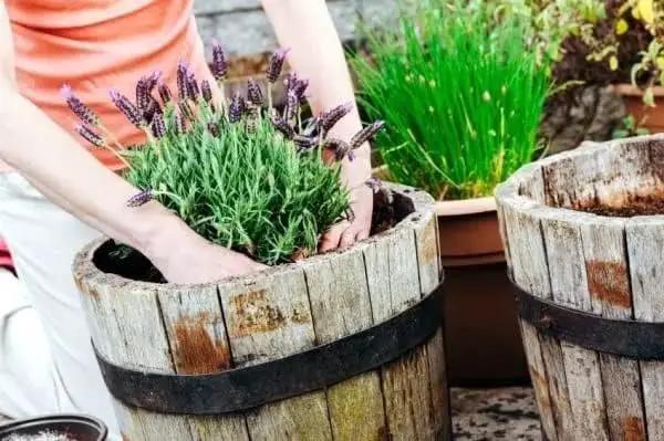 Organic Moisture Control Potting Mix - Absorbs 33% More Water Than Basic Potting Soil - 1 Quart by GreenHaven Gardens