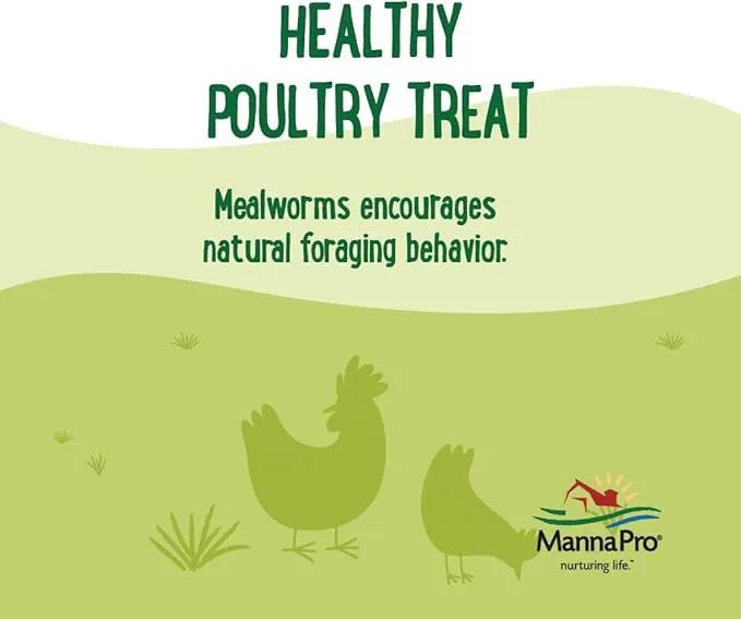Manna Pro Mealworms Poultry Treat - High Protein, 100% Natural, 10oz by GreenHaven Gardens