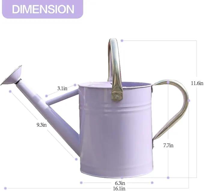 Metal Watering Can, One Gallon Watering Cans Stainless Steel for Outdoor Indoor Garden Plants Watering (Stainless Steel Handle Purple) by GreenHaven Gardens