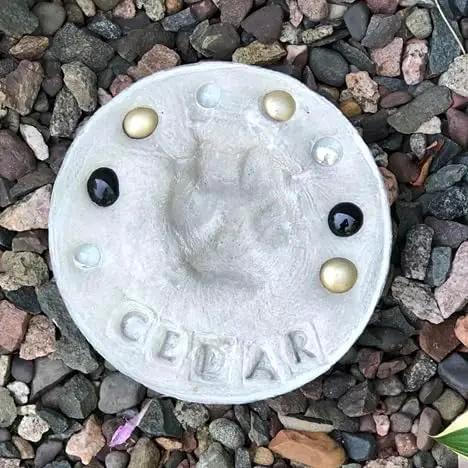 DIY Paw Print Stepping Stone Kit, Pet Memorial Stone, Pet Garden Stone (8 Inch) by GreenHaven Gardens
