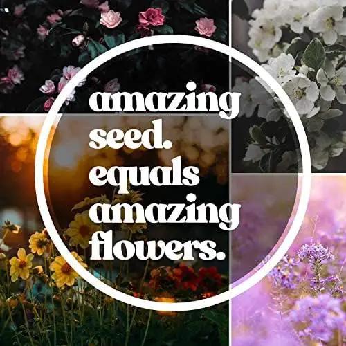 All Annual Wildflower Mix Seed for Planting - 1 Lb ~16,000+ Seeds - 21 Varieties Including California Poppy, Indian Blanket, Scarlet Flax, & More - Attracts Pollinators - Bulk Wildflower Seeds by GreenHaven Gardens