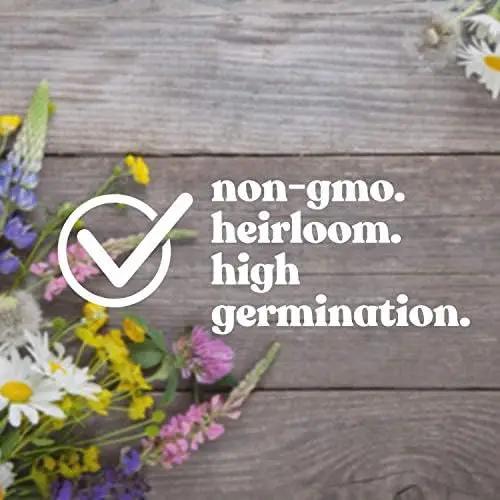 Wildflower Seed Bulk, 3 Oz. (80,000+ Seeds) – 19 Non-GMO Flower Seeds for Shade, Annual & Perennial Wild Flowers Mix for Partial Shade – Shade Tolerant by Mountain Valley Seed by GreenHaven Gardens