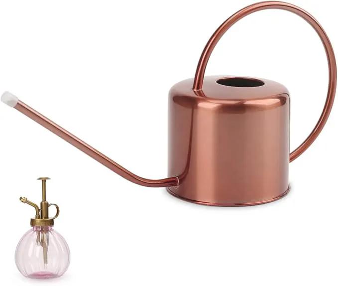 Remiawy Watering Can Indoor Outdoor Stainless Steel Watering Cans for House Plants Long Spout Water Can for Succulent Bonsai Garden Flower(40oz/1300ml) by GreenHaven Gardens