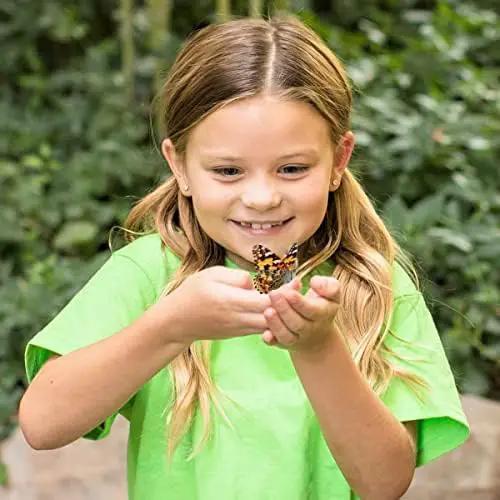 Insect Lore Butterfly Garden with Giant Birthday Card | 5 Live Baby Caterpillars | STEM Journal, Habitat, Chrys-A-Lid, Feeder | Raise and Release Painted Lady Butterflies by GreenHaven Gardens
