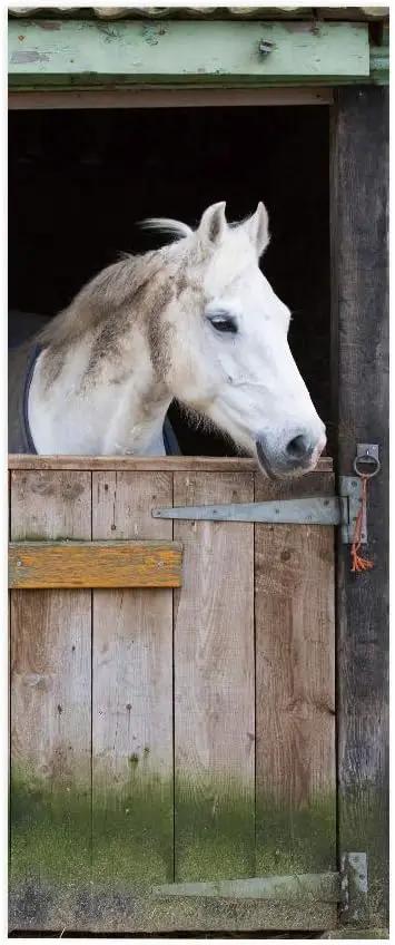 Horse 3D Door Stickers Murals - Peel & Stick - Waterproof & Washable - Matt Finish - Rustic Style - Animal Print - Removable - 37.4" x 84.6" by GreenHaven Gardens