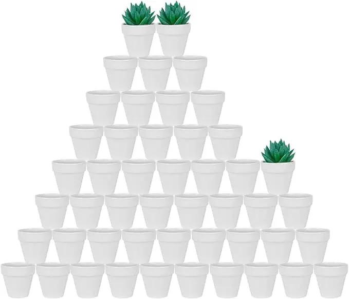 vensovo 48 Pcs 2" Tiny Ceramic Plant Pots with Drainage Hole - White Small Mini Ceramic Pottery Planter Ideal for Indoor/Outdoor Plants, Crafts, Wedding Favors by GreenHaven Gardens