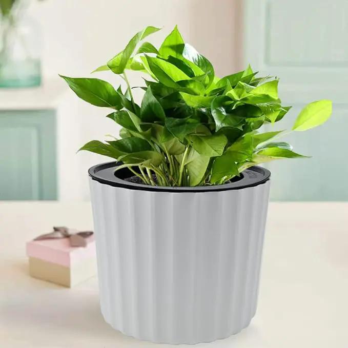 MUZHI Orchid Pot with Slotted Mesh and Holes, Plastic Round Self Watering Planter for Indoor Plants,Flowers,Herbs 3sets and 2sizes, White 7 inch by GreenHaven Gardens