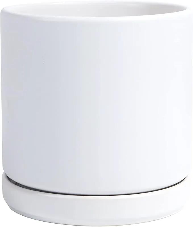 D'vine Dev 6 Inch Ceramic Planter Pot with Drainage Hole and Saucer, Indoor Cylinder Round Flower Pot, White, 94-O-C-1 by GreenHaven Gardens
