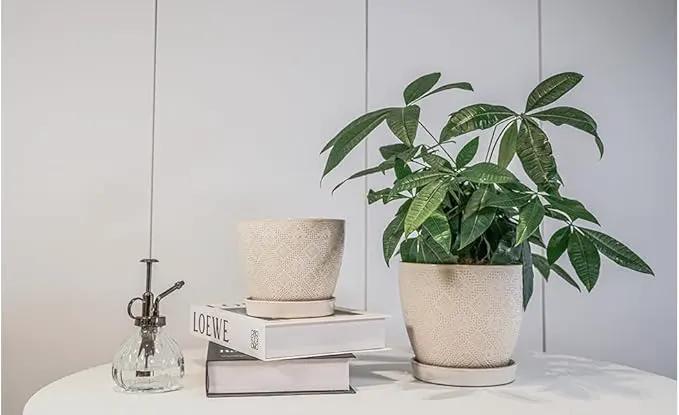 Docrin Ceramic Plant Pots Indoor: 6.6 + 5.5 Inch Planters with Drainage Holes and Saucer for Home/Office - Set of 2 /White by GreenHaven Gardens