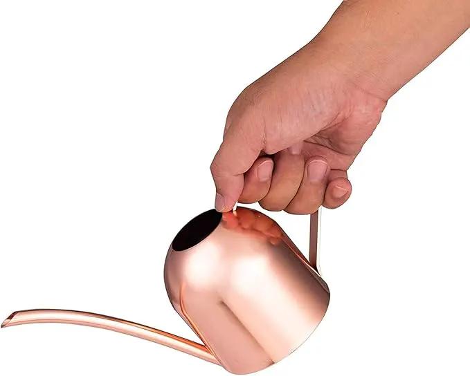 IMEEA Small Watering Can for Indoor Plants Stainless Steel Indoor Watering Can with Long Spout, 15oz/450ml by GreenHaven Gardens