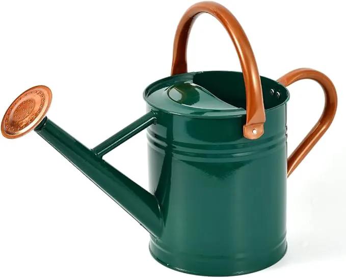 Steel Watering Can Sliver Galvanized Steel Watering Can with Copper Accents,Removable Rosette-Diffuser,One-Gallon Green by GreenHaven Gardens