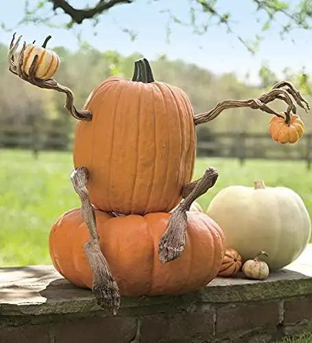 Plow & Hearth Set of 4 Bendable Pumpkin Arms and Legs | Create Whimsical Halloween Decor | Spooky Vine Design | Includes 2 arms and 2 Legs, Iron, Orange by GreenHaven Gardens