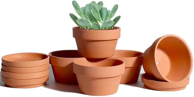 vensovo 3.7 Inch Terracotta Shallow Succulent Pots - 6 Pack Terra Cotta Clay Pot with Saucer, Cacuts Indoor and Outdoor Planters with Drainage Hole by GreenHaven Gardens