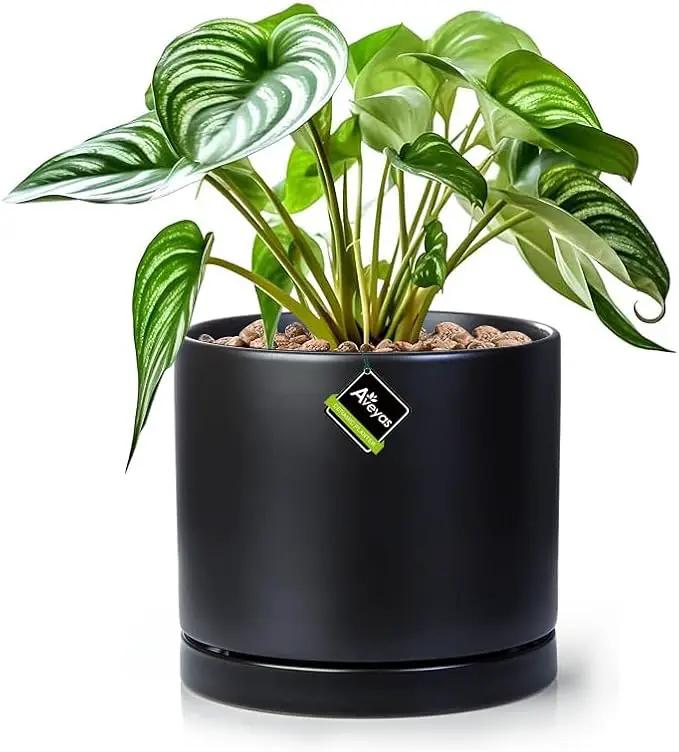 Aveyas 8 inch Ceramic Plant Pot with Drainage Hole and Saucer - Suitable for Indoor and Outdoor Use, Modern Planters for House Garden Flower Tree Snake Monstera Plants (8", Matte Black) by GreenHaven Gardens