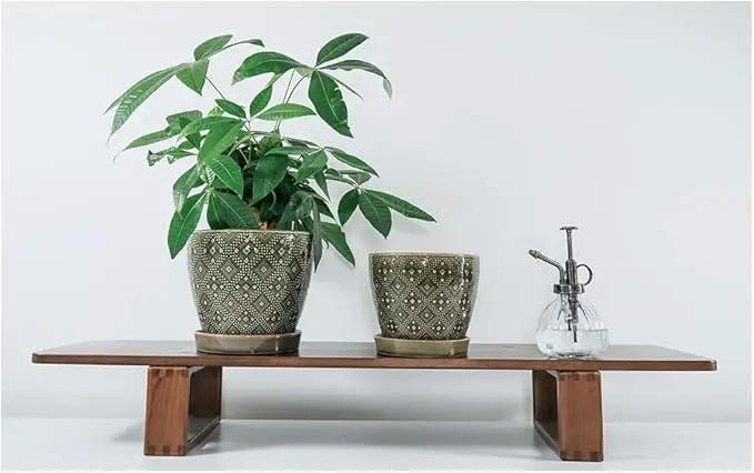 Docrin Ceramic Plant Pots Indoor: 6.6 + 5.5 Inch Planters with Drainage Holes and Saucer for Home/Office - Set of 2 /Dark Green by GreenHaven Gardens